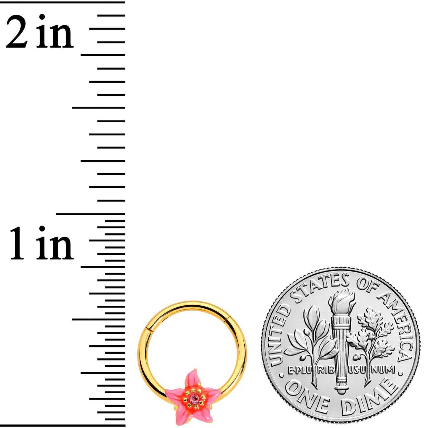 16G 3/8 Pink Gem Gold Tone Exotic Floral Star Hinged Segment Ring